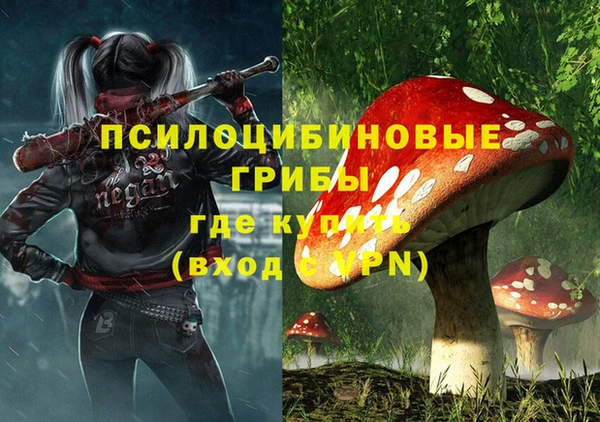 хмурый Наволоки