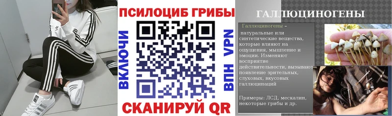 Галлюциногенные грибы ЛСД Туринск