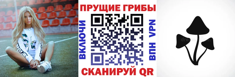 Галлюциногенные грибы Magic Shrooms  мега   Туринск 